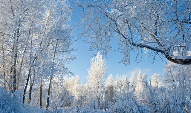 令人眼花缭乱的冬季仙境，延仁山
