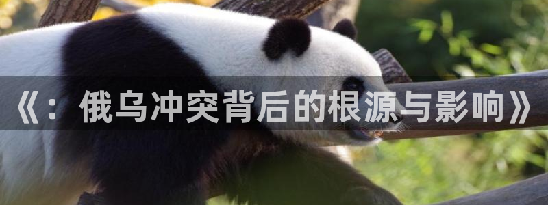 黑料网站在线看：《：俄乌冲突背后的根源与