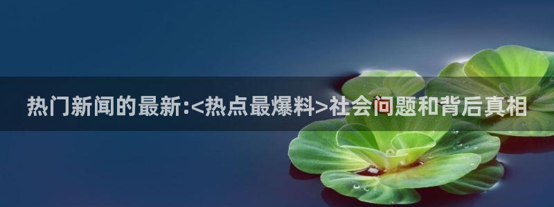 黑料网91：热门新闻的最新:<热点最爆料