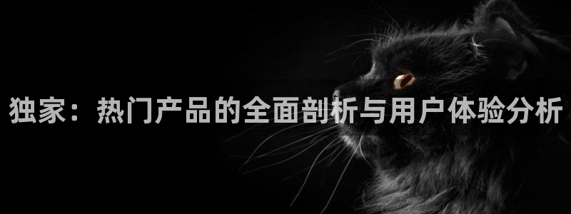 黑料不打烊入口2023：独家：热门产品的